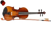violin
